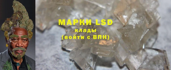 spice Алзамай