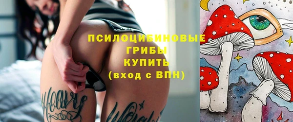spice Алзамай