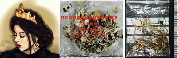 spice Алексеевка