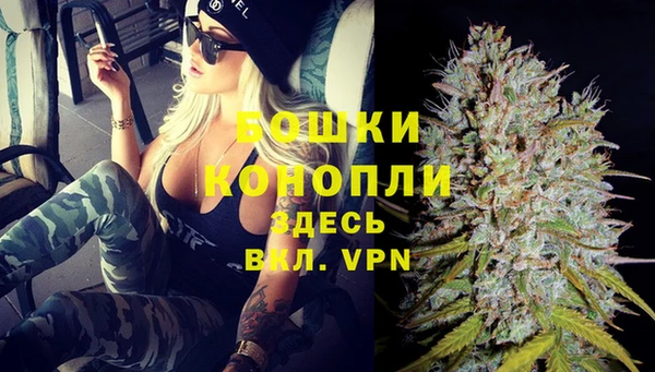 spice Алексеевка