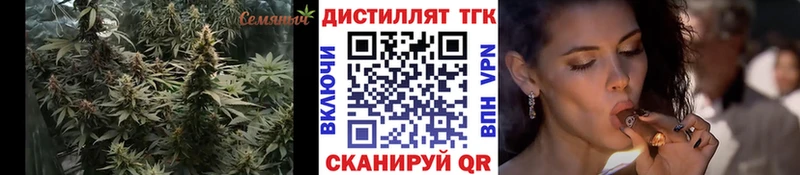 кракен ссылки нарко площадка формула Камешково Дистиллят ТГК THC oil сколько стоит