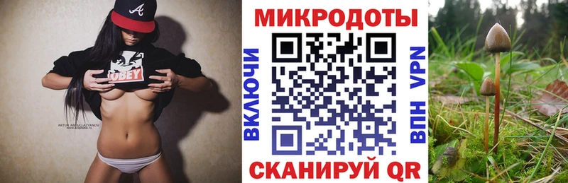 дарнет шоп  Камешково  Псилоцибиновые грибы GOLDEN TEACHER 